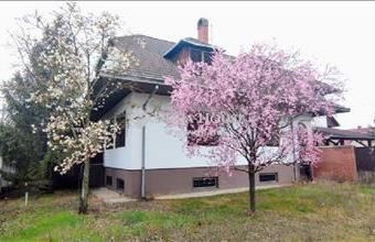 Eladó Kecskeméti családi ház hirdetés (49339663)