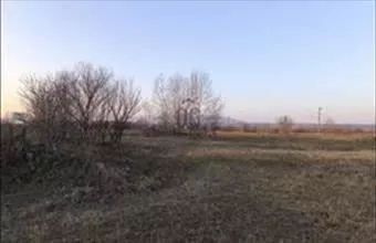 Eladó Váci termőföld, szántó hirdetés (61331374) Eladó Váci termőföld, szántó hirdetés (61331374)