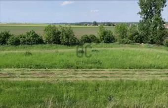 Eladó Taktaharkányi egyéb üzlethelyiség hirdetés (94532644) Eladó Taktaharkányi egyéb üzlethelyiség hirdetés (94532644)