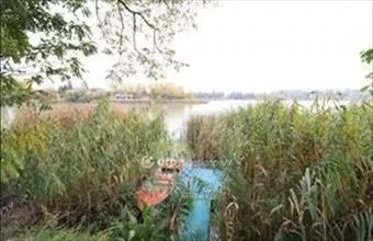 Eladó Szigetszentmártoni hétvégi ház hirdetés (77544554) Eladó Szigetszentmártoni hétvégi ház hirdetés (77544554)