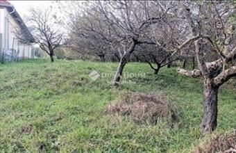 Eladó Zalaegerszegi lakóövezeti telek hirdetés (51399938)