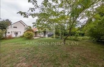 Eladó Balatonvilágosi családi ház hirdetés (91469338)