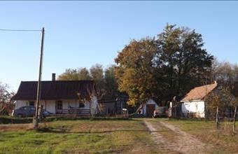 Eladó Lajosmizsei termőföld, szántó hirdetés (58443437)