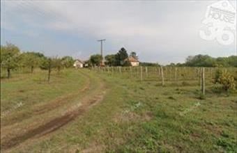 Eladó Tázlári egyéb mezőgazdasági ingatlan hirdetés (66344294)