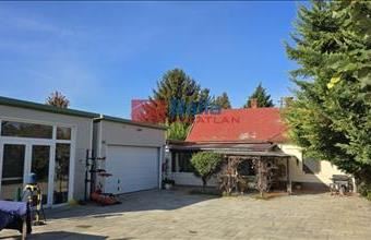 Eladó Felsőpakonyi egyéb üzlethelyiség hirdetés (34851924)