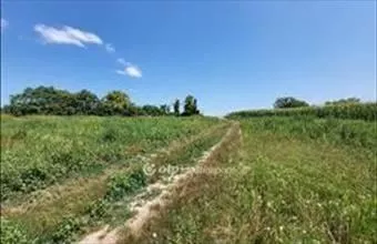 Eladó Siófoki külterületi telek hirdetés (42723973) Eladó Siófoki külterületi telek hirdetés (42723973)