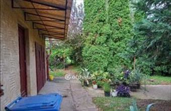 Eladó Pécsi családi ház hirdetés (49333737)