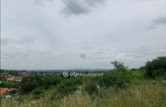 Eladó Pomázi lakóövezeti telek hirdetés (77264546)