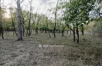 Eladó Pusztamérgesi egyéb mezőgazdasági ingatlan hirdetés (54556495)