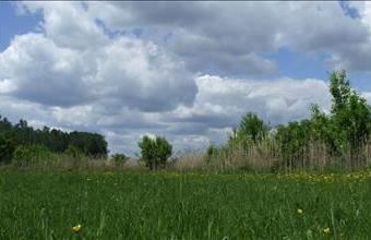 Eladó Kelebiai termőföld, szántó hirdetés (89327997)