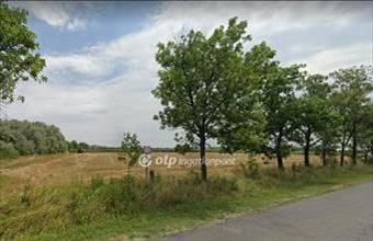 Eladó Röszkei külterületi telek hirdetés (86981568)