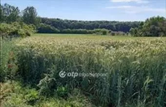 Eladó Debreceni egyéb mezőgazdasági ingatlan hirdetés (53423579) Eladó Debreceni egyéb mezőgazdasági ingatlan hirdetés (53423579)