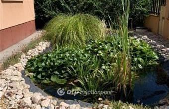 Eladó Csemői családi ház hirdetés (64324447)