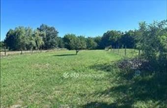 Eladó Ceglédi családi ház hirdetés (75162974)