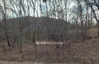 Eladó Tarjánpusztai egyéb telek hirdetés (63895438)