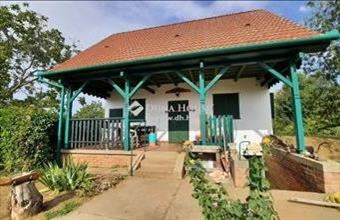 Eladó Rákóczifalvai külterületi telek hirdetés (87854444)