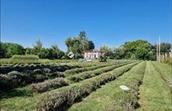 Eladó Keceli lakóövezeti telek hirdetés (32946123)