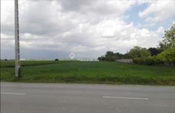 Eladó Szigetszentmiklósi lakóövezeti telek hirdetés (39537327)