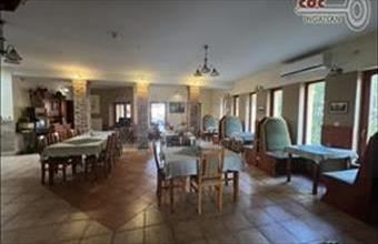 Eladó Pátyi hotel, szálloda, panzió hirdetés (29232392)