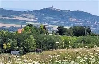 Eladó Győrújbaráti egyéb mezőgazdasági ingatlan hirdetés (38349128)