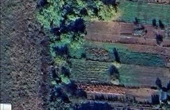 Eladó Nyíregyházai lakóövezeti telek hirdetés (62234262)