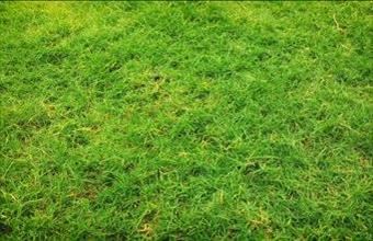 Eladó Mogyoródi egyéb telek hirdetés (74644323)