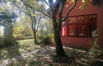 Eladó Zsámbéki családi ház hirdetés (18565839)