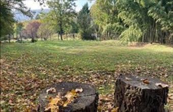 Eladó Nagymarosi egyéb telek hirdetés (69842497)