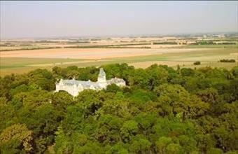 Eladó Szabadkígyósi családi ház hirdetés (63547391)