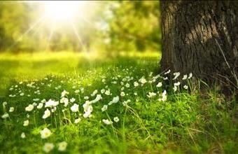 Eladó Váci egyéb telek hirdetés (99474424)