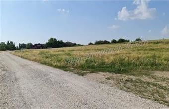 Eladó Demjéni egyéb telek hirdetés (44753914)