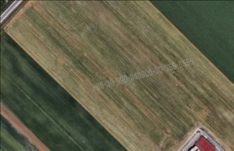 Eladó Szigetszentmiklósi egyéb telek hirdetés (78727436)