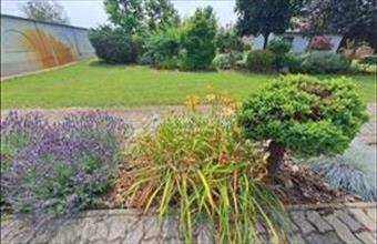 Eladó Kecskeméti családi ház hirdetés (59362325)