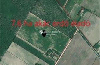 Eladó Csemői erdő hirdetés (51433964)