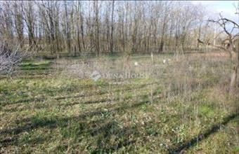 Eladó Ballószögi külterületi telek hirdetés (64413936)