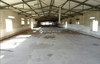 Eladó Lajosmizsei tanya hirdetés (32529952)