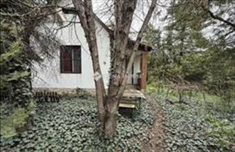 Eladó Kecskeméti családi ház hirdetés (97242774)