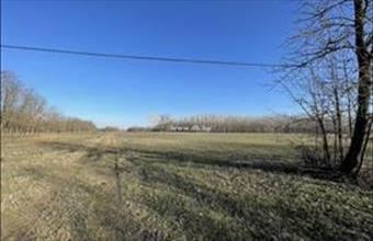 Eladó Kiskunmajsai egyéb mezőgazdasági ingatlan hirdetés (84757442)