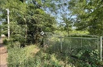 Eladó Kecskeméti külterületi telek hirdetés (36425792)