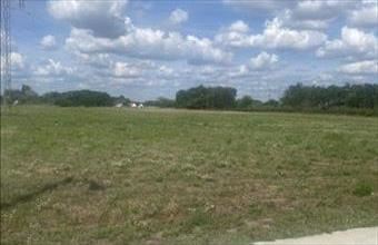 Eladó Helvéciai termőföld, szántó hirdetés (75943843)