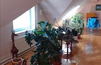 Eladó Kecskeméti családi ház hirdetés (79597754)