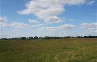 Eladó Nagykőrösi egyéb mezőgazdasági ingatlan hirdetés (83463944)