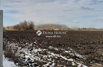 Eladó Debreceni külterületi telek hirdetés (96887599)