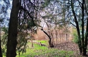 Eladó Budapest XXI. kerületi családi ház hirdetés (78533956)