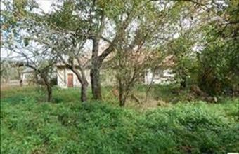 Eladó Piliscsabai családi ház hirdetés (94179334)