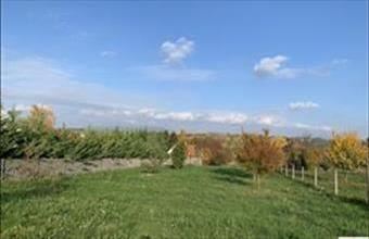 Eladó Tinnyei egyéb telek hirdetés (92444955)