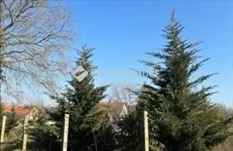 Eladó Városföldi lakóövezeti telek hirdetés (77765352)