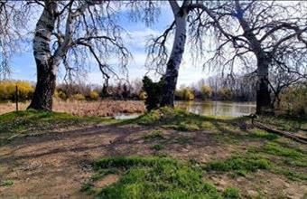 Eladó Szigetcsépi egyéb telek hirdetés (74351927)