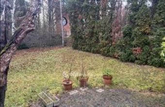 Eladó Budapest II. kerületi családi ház hirdetés (24745564)