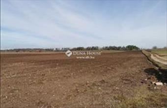 Eladó Fóti külterületi telek hirdetés (36444338)